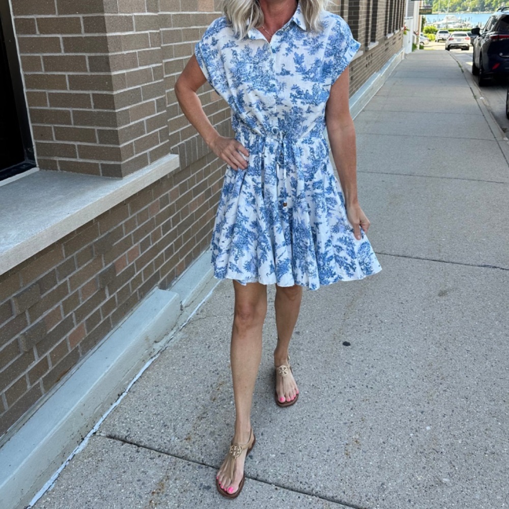 Aakaa Boutique Toile Landscape Dress SZ M